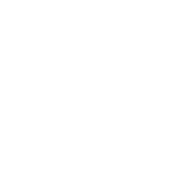 csir neeri