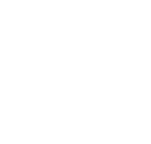 prozemek solutions